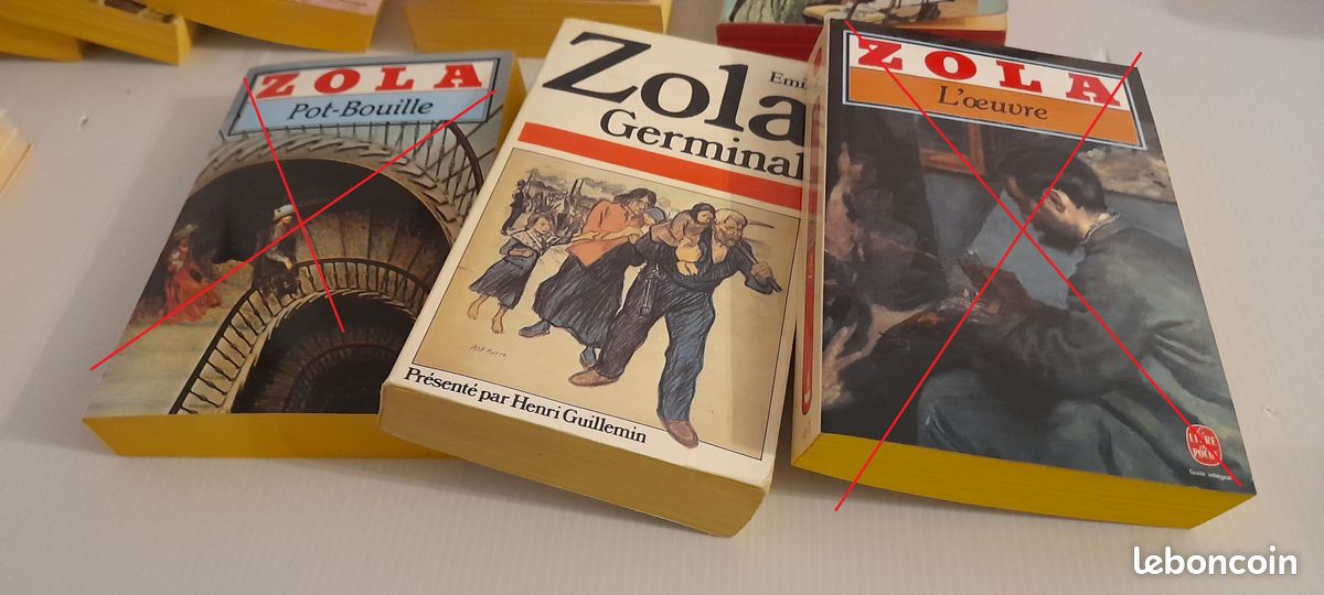 Livres Emile Zola (image 4)