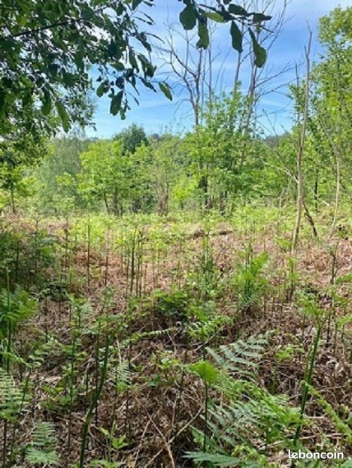 Terrain 1000 m² · à Chancelade · 1 000 m² · 45 000 €