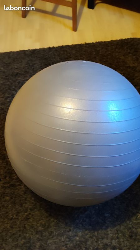 Ballon gymnastique pour dos (image 3)