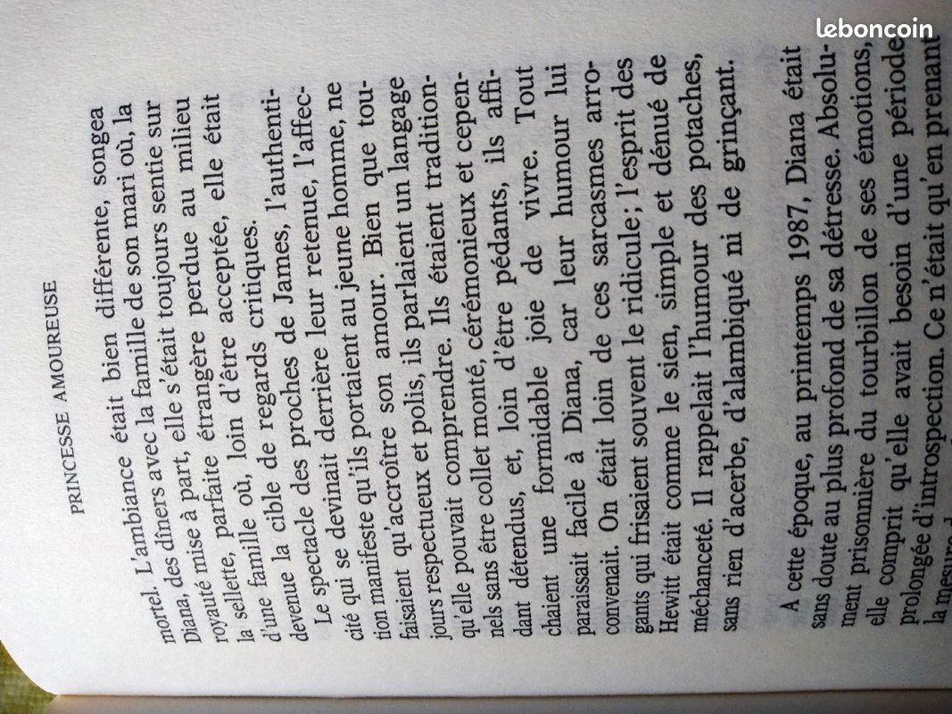 Princesse amoureuse Diana (image 4)