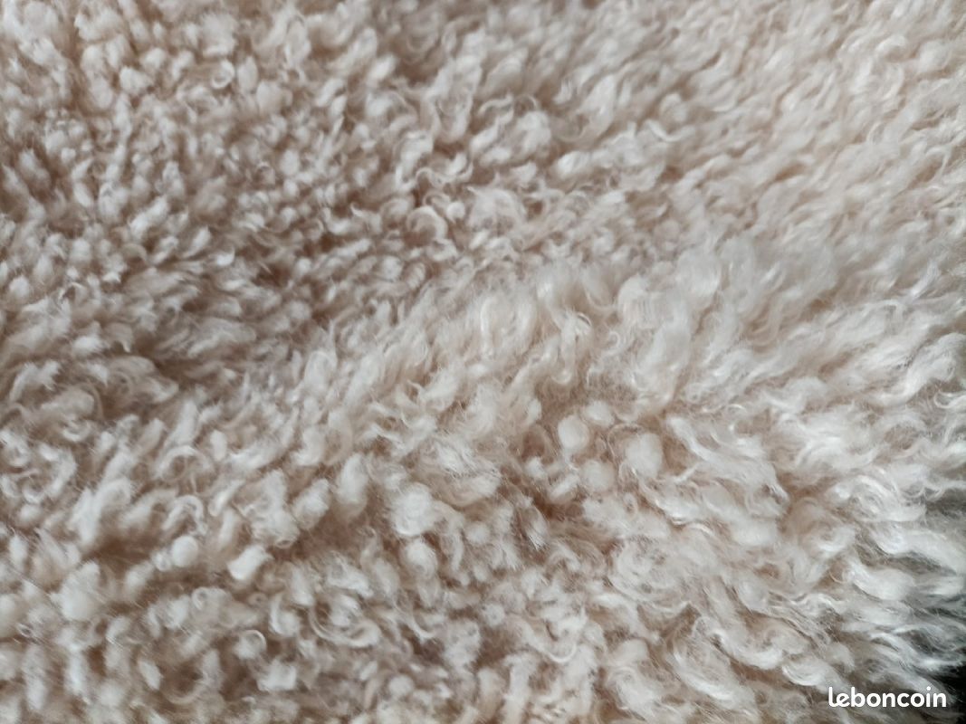 Manteau (image 5)