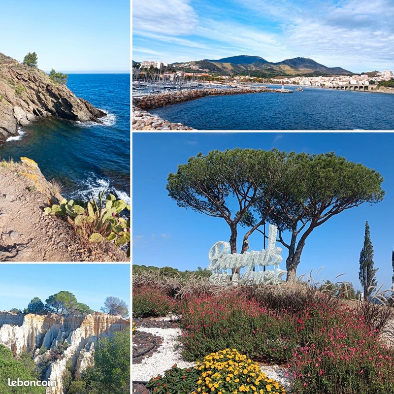 Superbe appartement direct mer Banyuls sur mer (image 9)