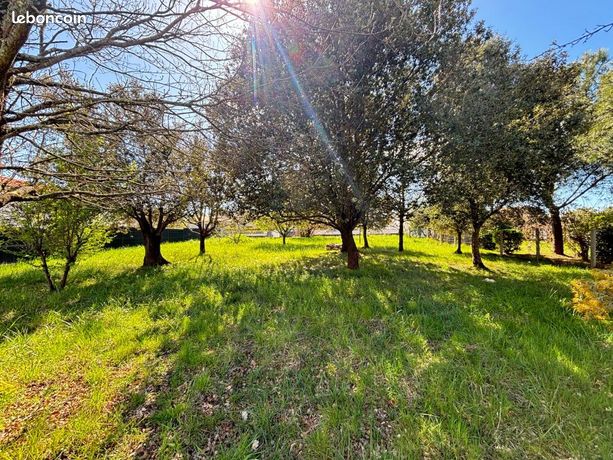 Terrain 392 m² Saint Palais Sur Mer