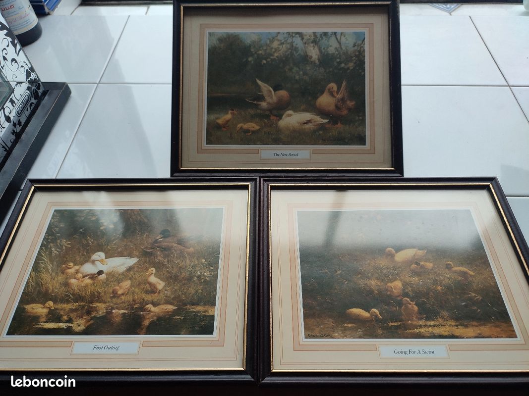 3 cadres représentants des scènes avec des canards (image 1)