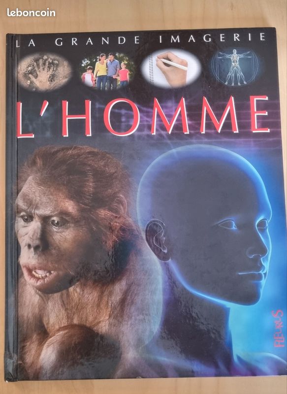 L'homme / La Grande imagerie (image 1)