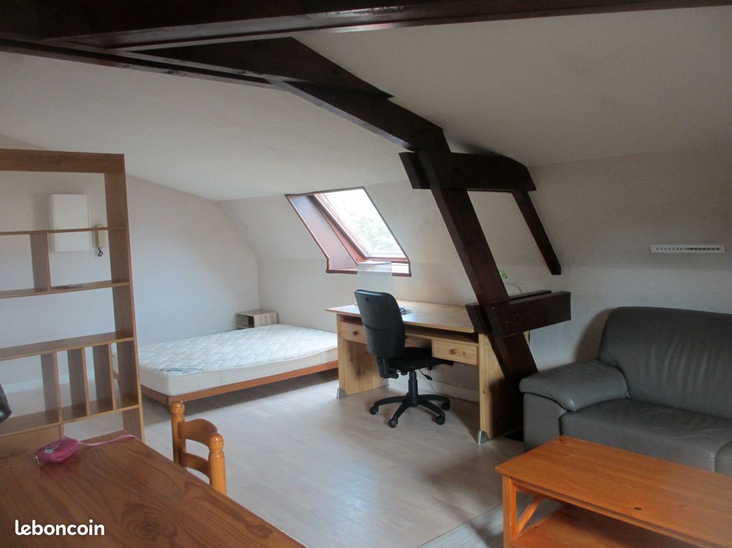Studio meublé rue St Cyprien - Poitiers 86000 (image principale 1)