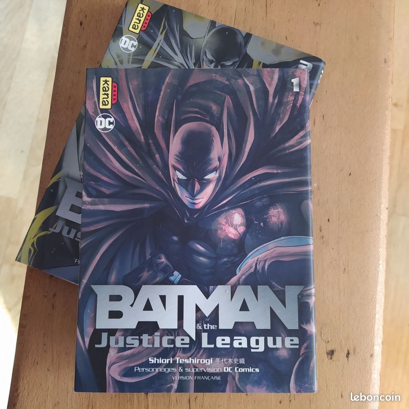 Batman and the justice league (image 2)