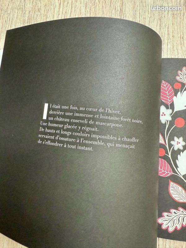 Livre Hiver (image 8)