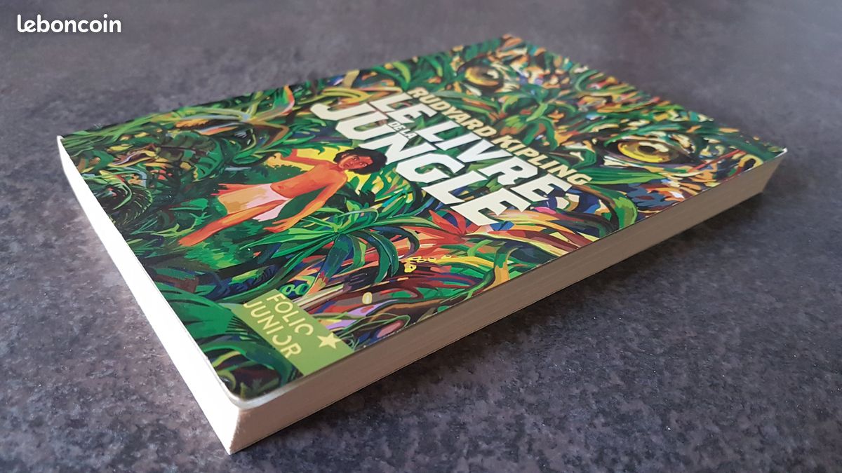 LE LIVRE DE la jungle de Rudyard Kipling en excellent état. EUR 4,00 - FR