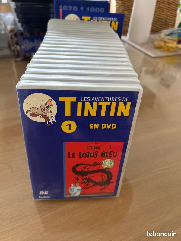 Coffret 21 DVD – Les Aventures de Tintin (Hergé) – Collection complète 1 à 21 (image 2)