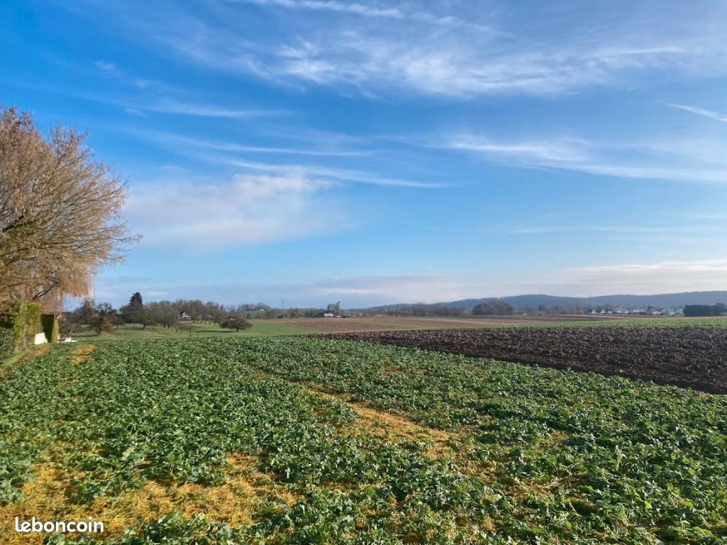 Terrain 922 m² Spechbach Le Haut · 137 000 €