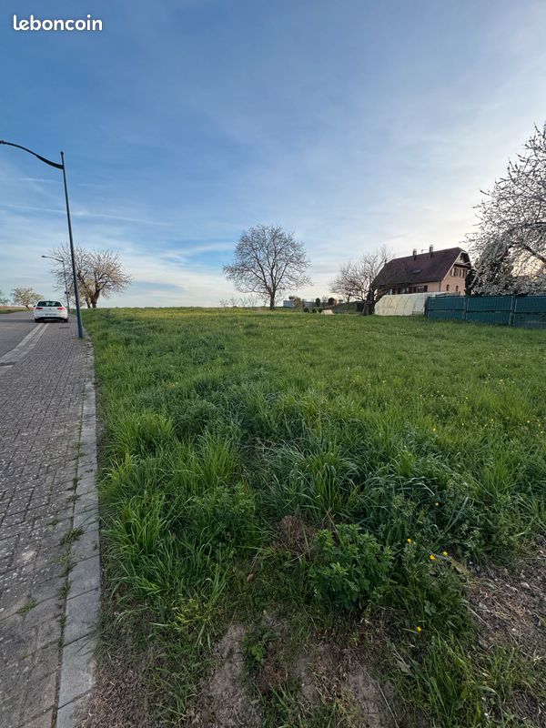 Terrain 500 m² · à Hochfelden · 500 m² · 105 000 €