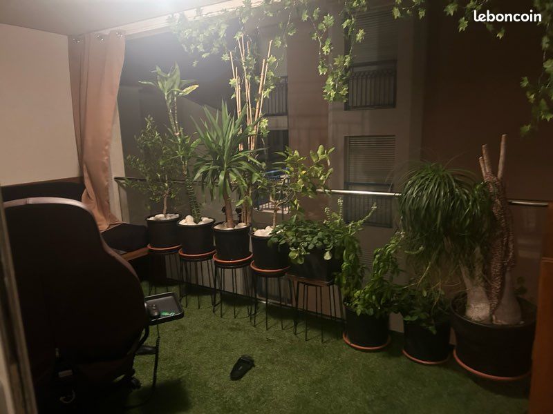 Comme à la maison (image 3)