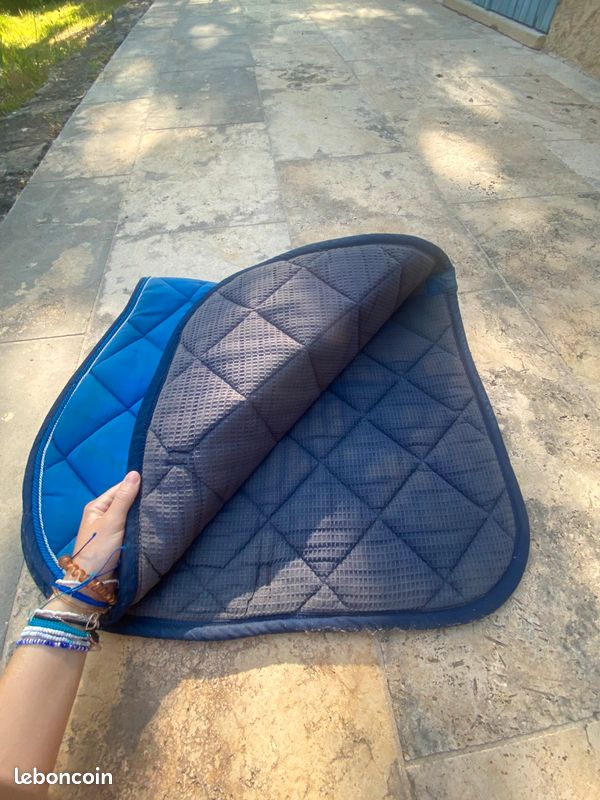 Tapis performance bleu cheval (image 2)