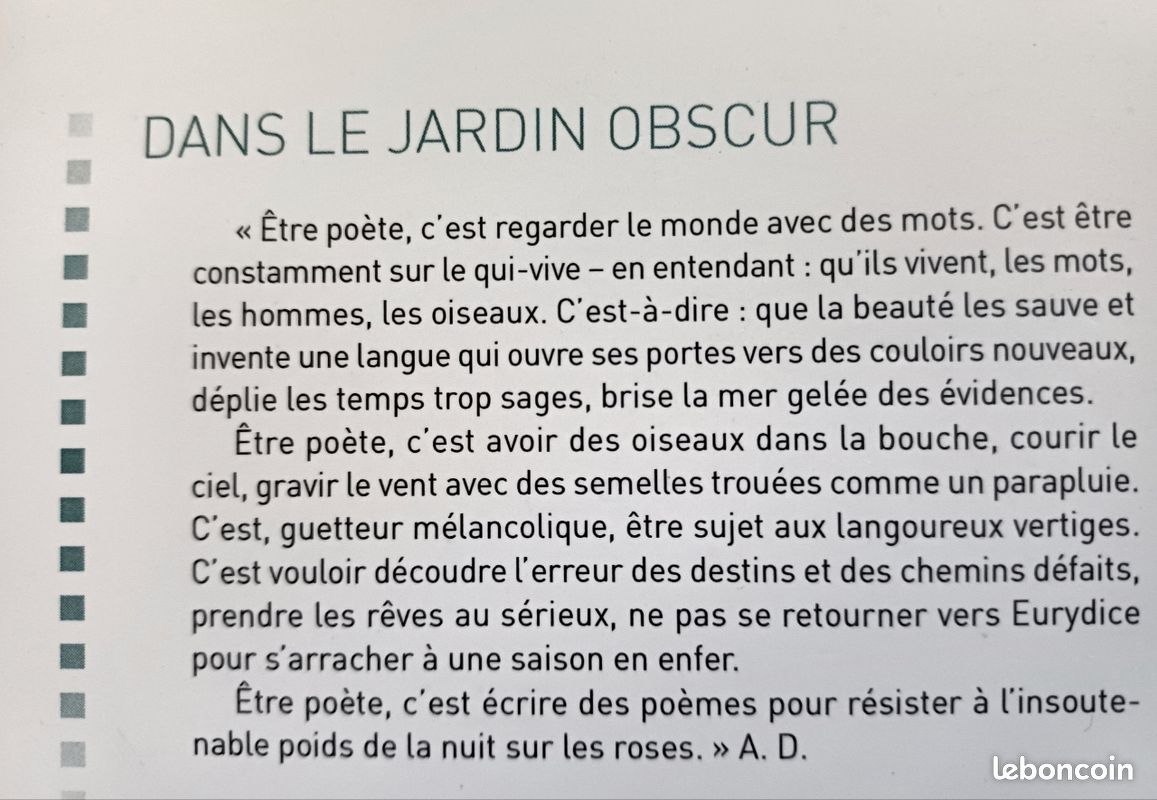 Livre Dans le jardin obscur (image 7)