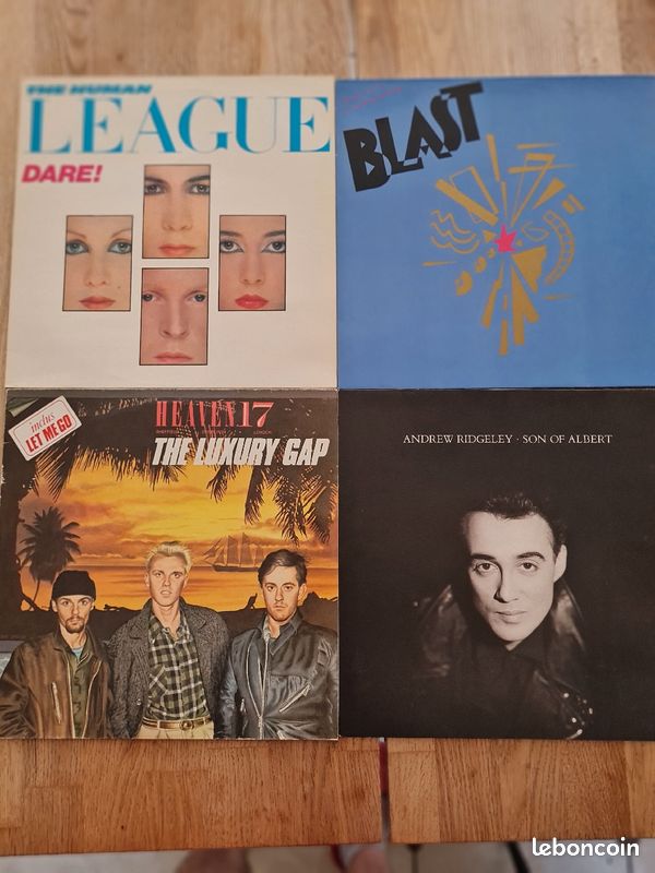 48 Disques vinyles (voir photos) (image 12)