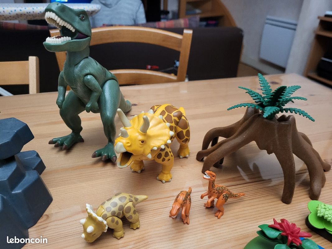 Mondes Dinosaures Playmobil (image 5)