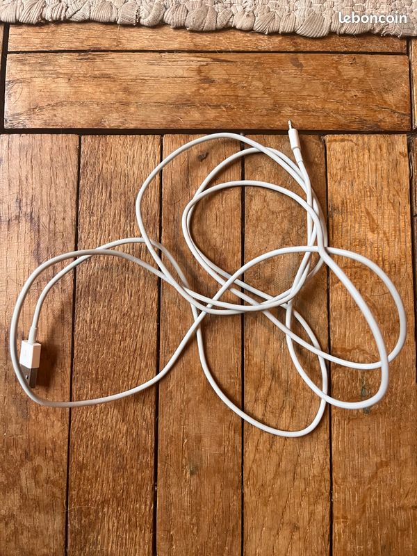 Câble chargeur apple (image 2)