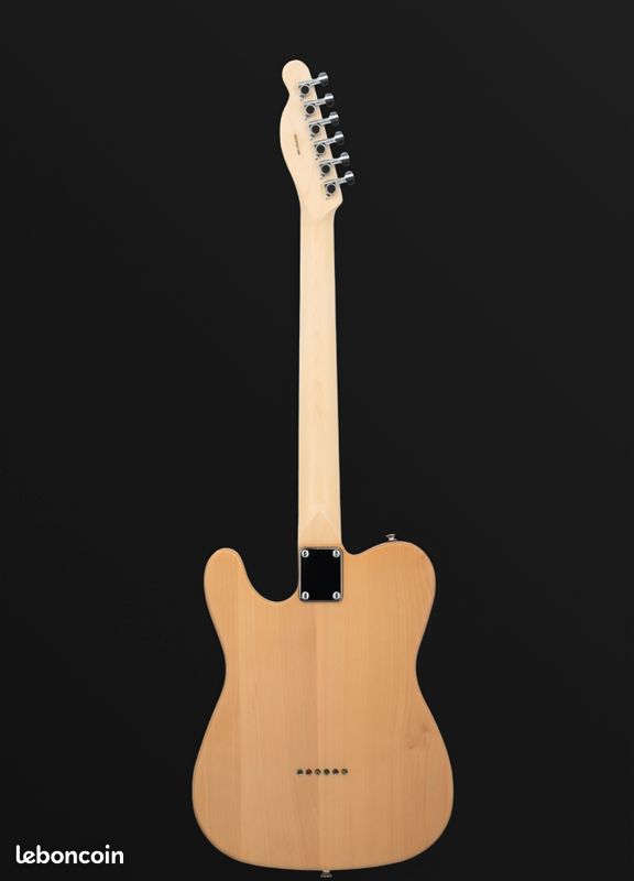 Guitare style Telecaster Prodipe (image 2)