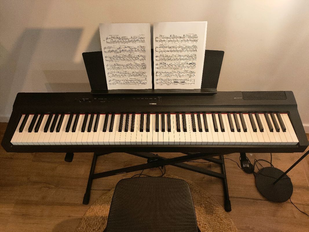 Piano électrique d'occasion - Annonces Instruments de musique leboncoin