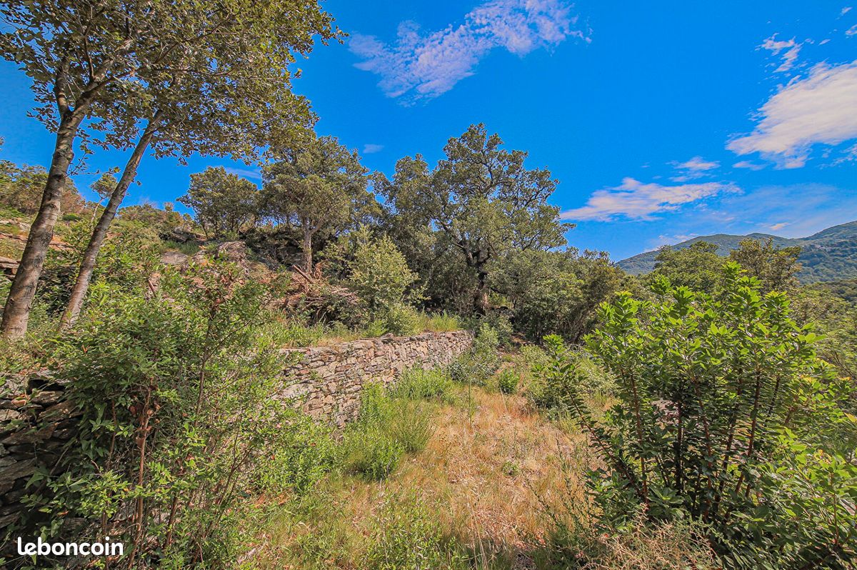 Terrain 1408 m² · à Santa-Maria-Di-Lota · 1 408 m² · 190 000 €