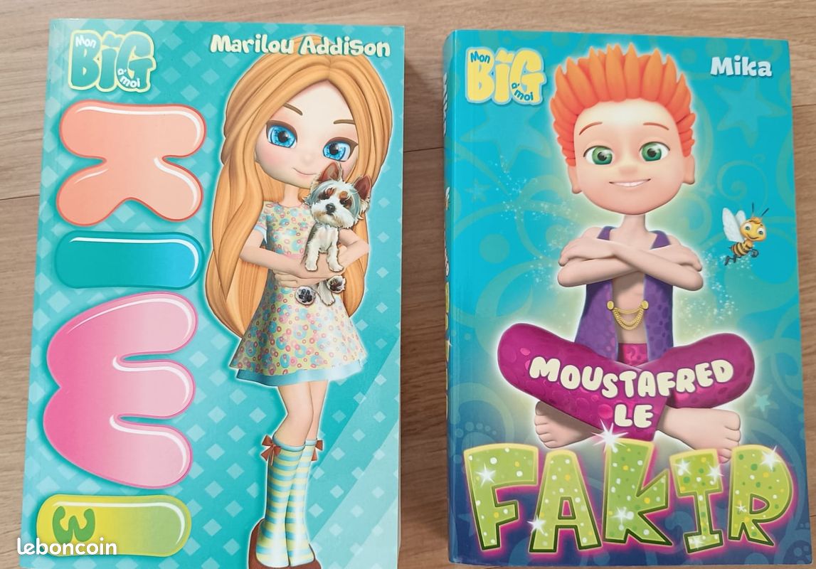 Livres mon mini big à moi (image 3)