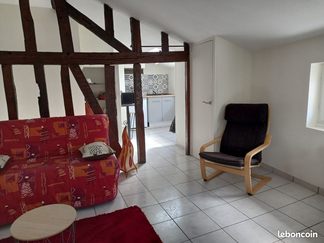 Studio meublé centre Limoges - Limoges 87000 Centre-Hôtel de Ville Emailleurs (image principale 0)