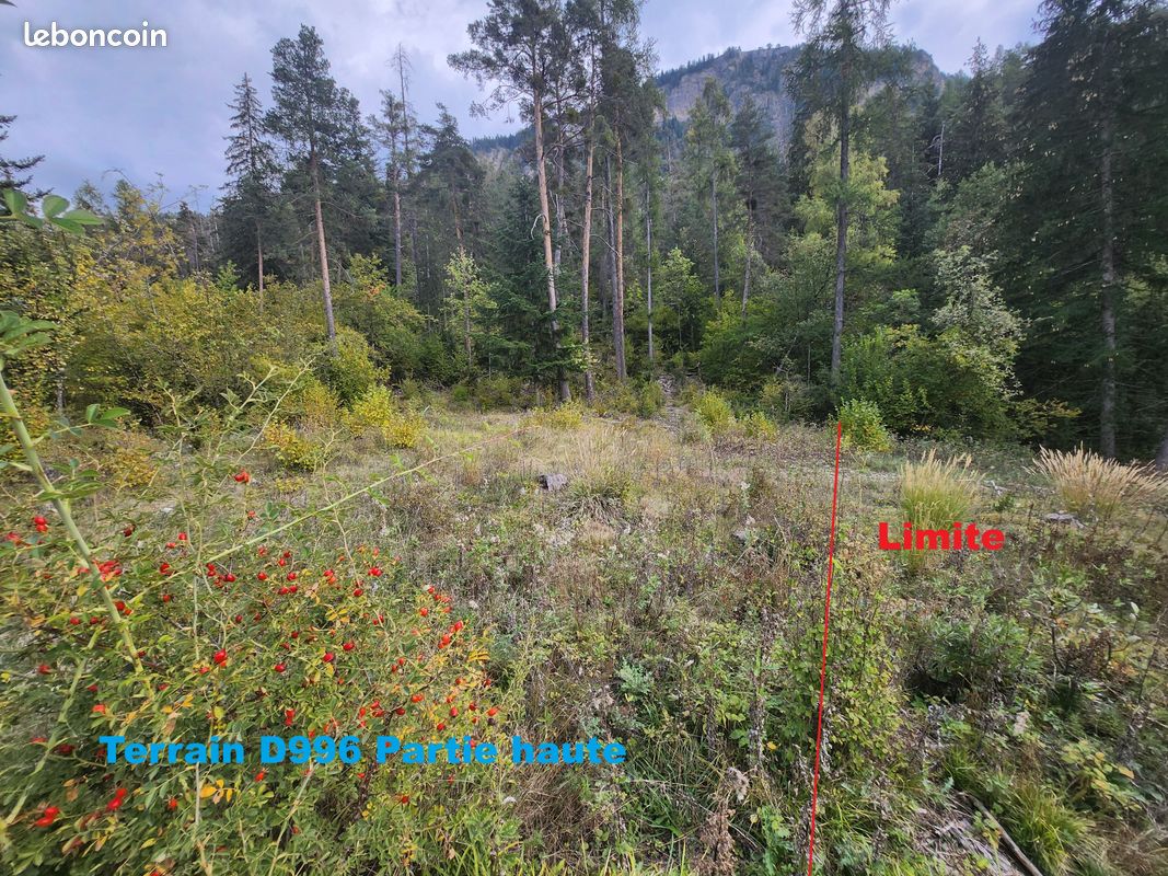 Terrain 1784 m² Colmars (image 4)
