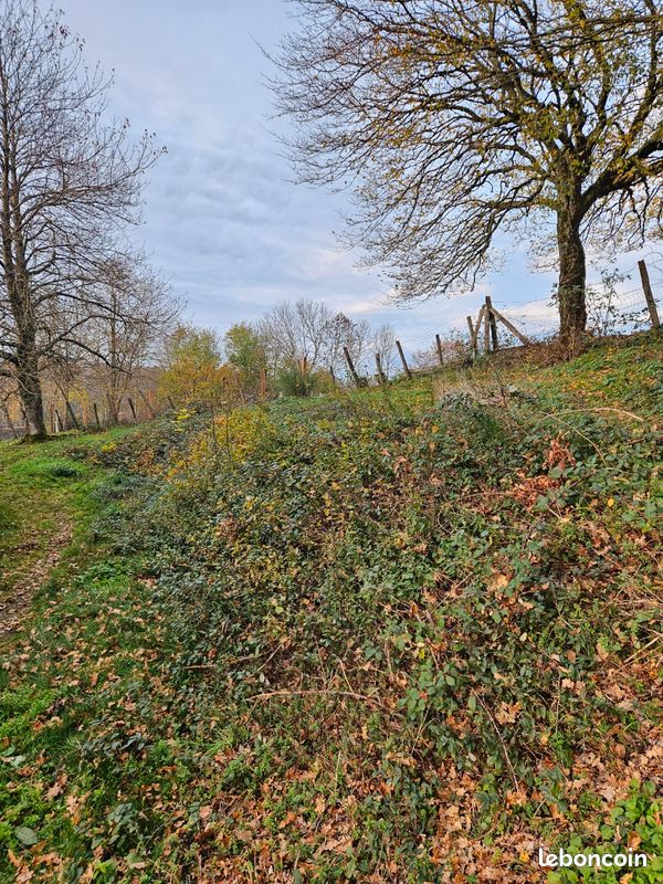 Débroussaillage ronces/hautes herbes etc Services de jardinerie — free download