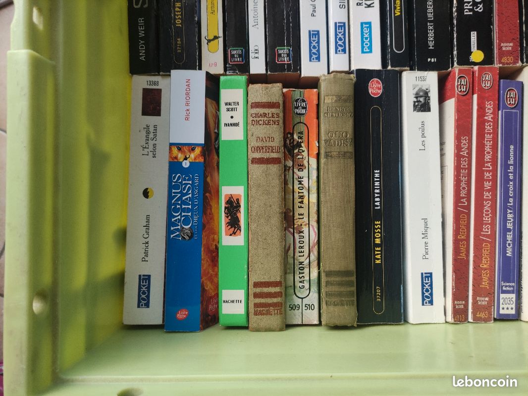 Caisse de livres (image 4)