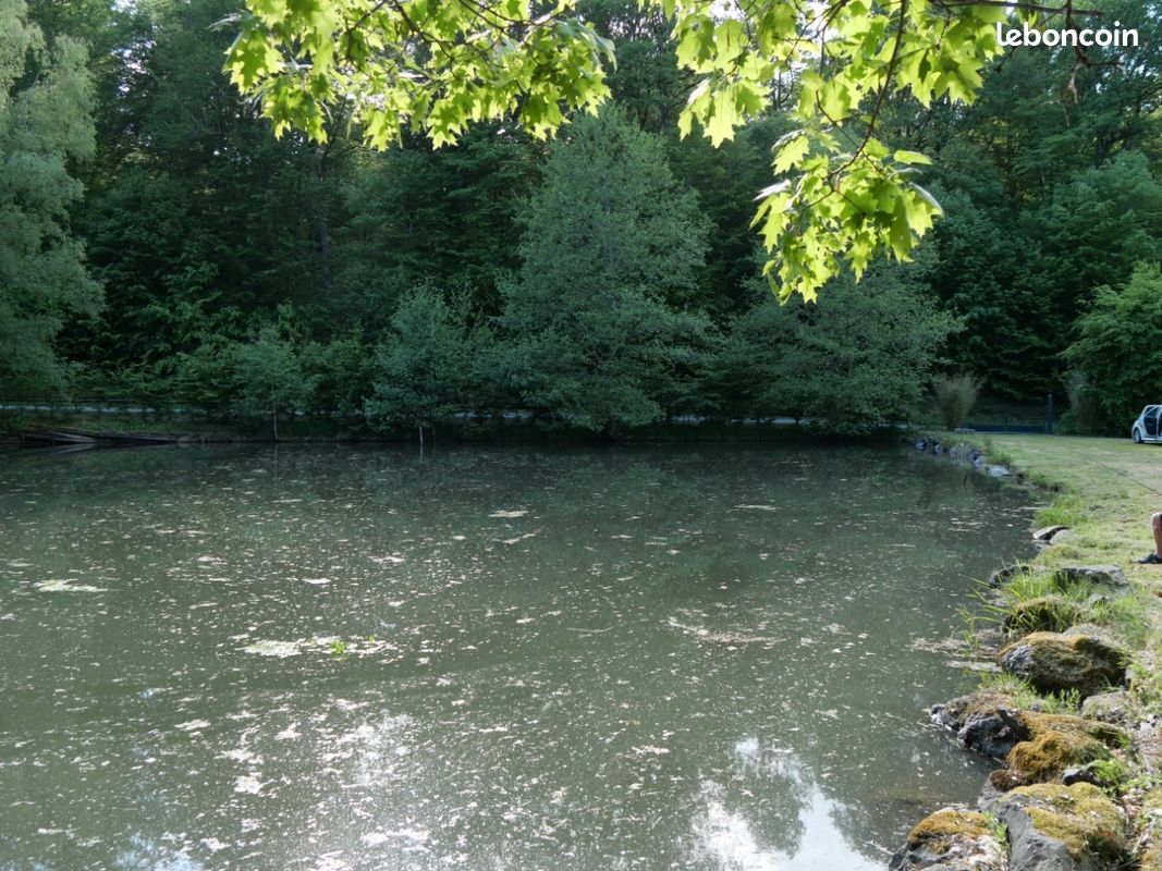 Terrain 50 ares avec étang · à Magny-Danigon · 20 000 €