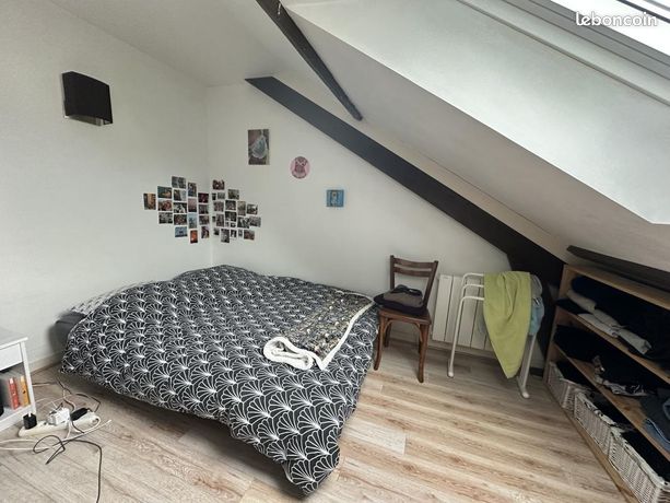 Appartement 1 pièce 20 m² — 3