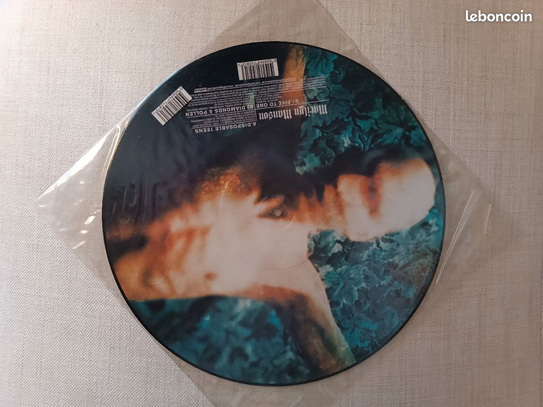 Marilyn Manson - Disposable teen (vinyle) (image 2)