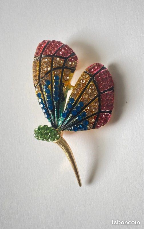 Grande broche de libellule - France