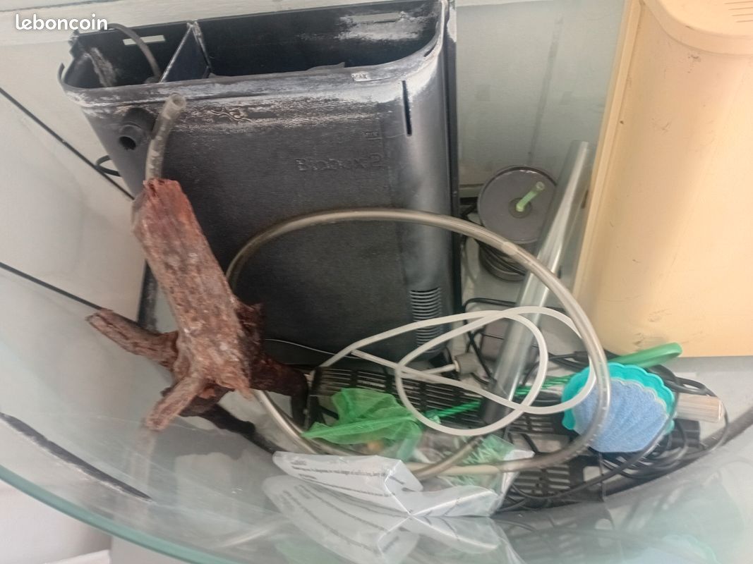 Aquarium (image 2)