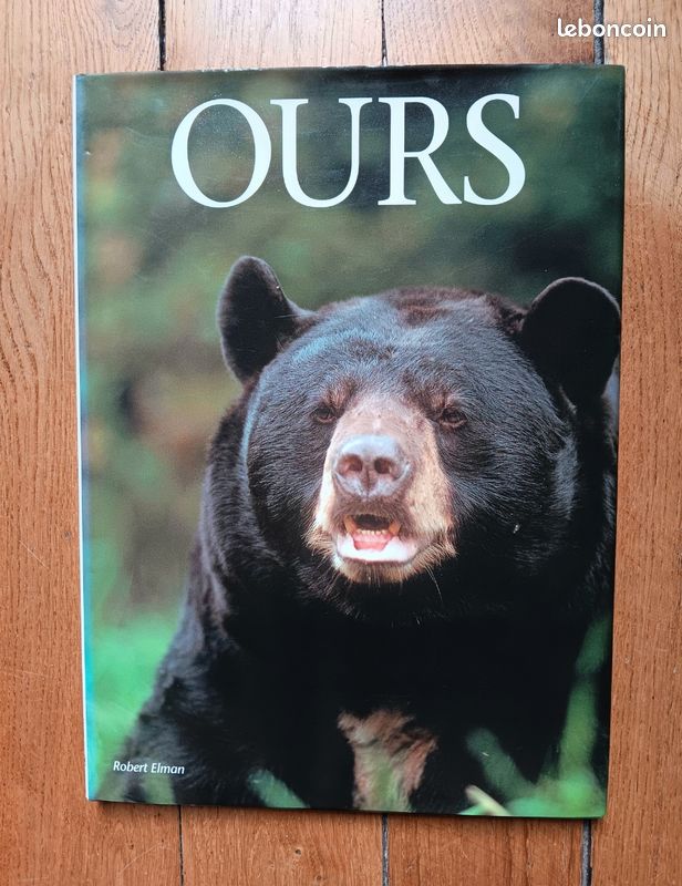 Beau Livre : OURS de Robert Elman (image 1)