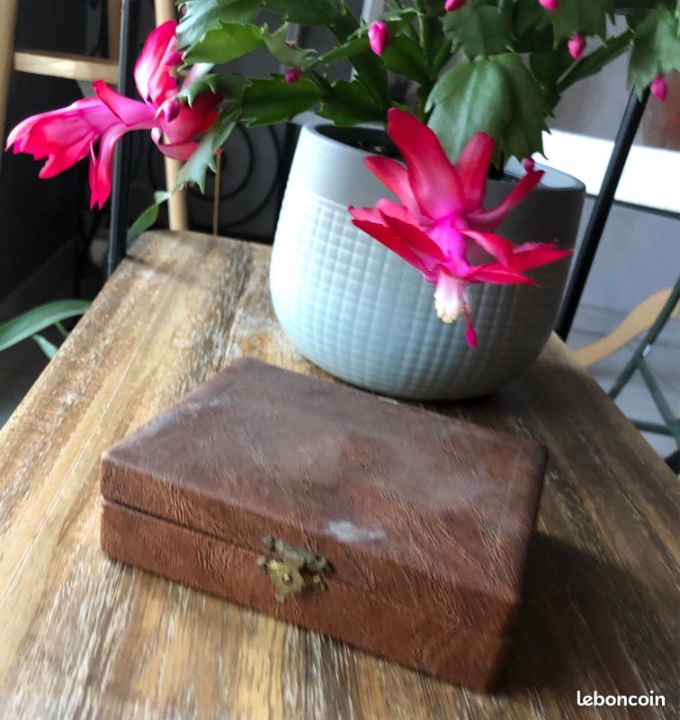 🦋 dixi coffret cuillères à moka anciennes 🦋 (image 2)