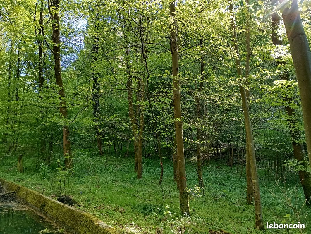 A vendre parcelle forestière · à Aizier · 22 000 €