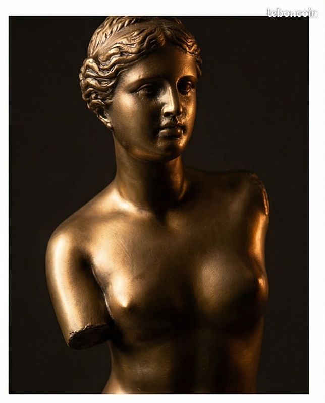 Statue Vénus de Milo 26 cm – Finition bronze – Sculpture décorative classique avec boîte d’origine (image 3)