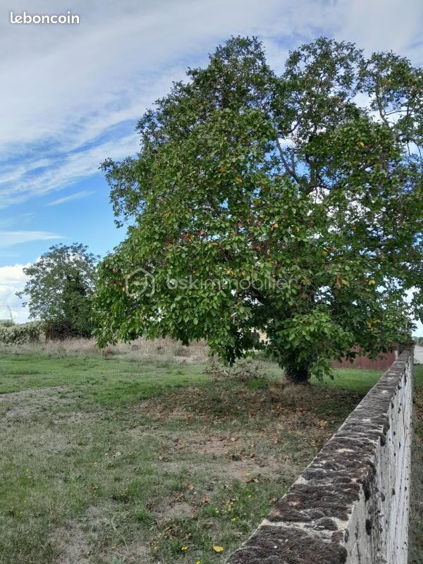 Terrain 570 m² Vendeuvre Du Poitou · à Saint-Martin-la-Pallu · 22 500 €