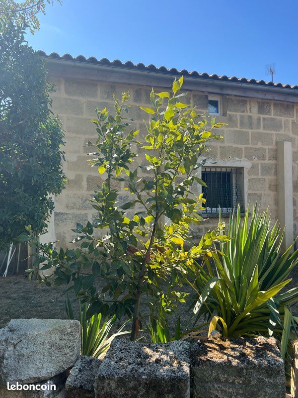 Maison 5 pièces 142 m² · à Beychac-Et-Caillau · 142 m² · 367 500 €