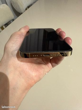 iPhone Reborn iPhone 12 Pro 256Go Gris 5G Reconditionne Grade A