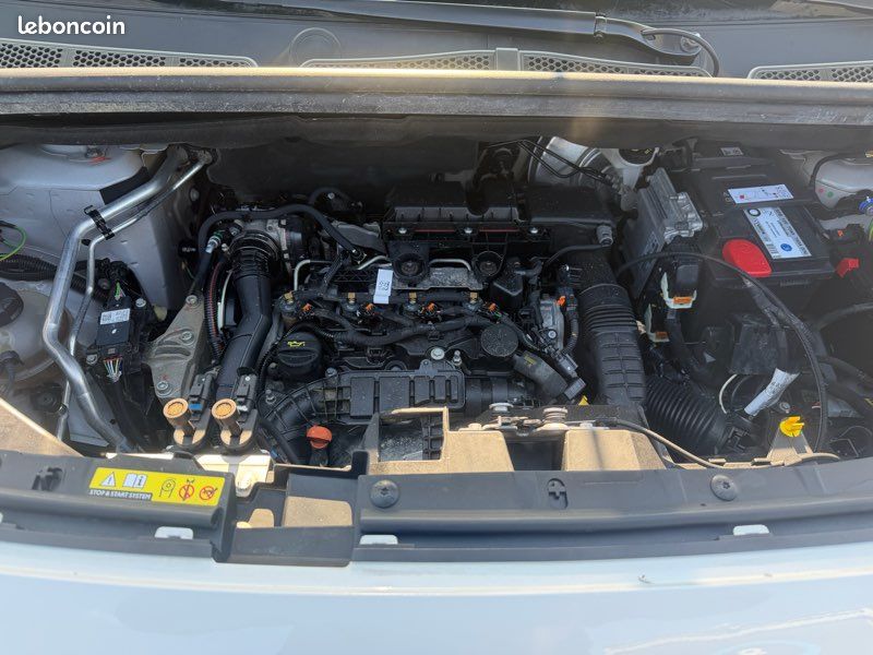 CITROËN BERLINGO 1.5blue HDI 130cv DANGEL (image 10)