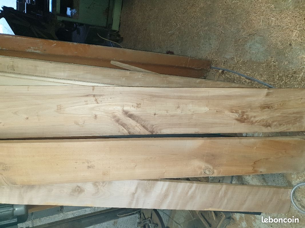 Planche en ormeau (image 2)