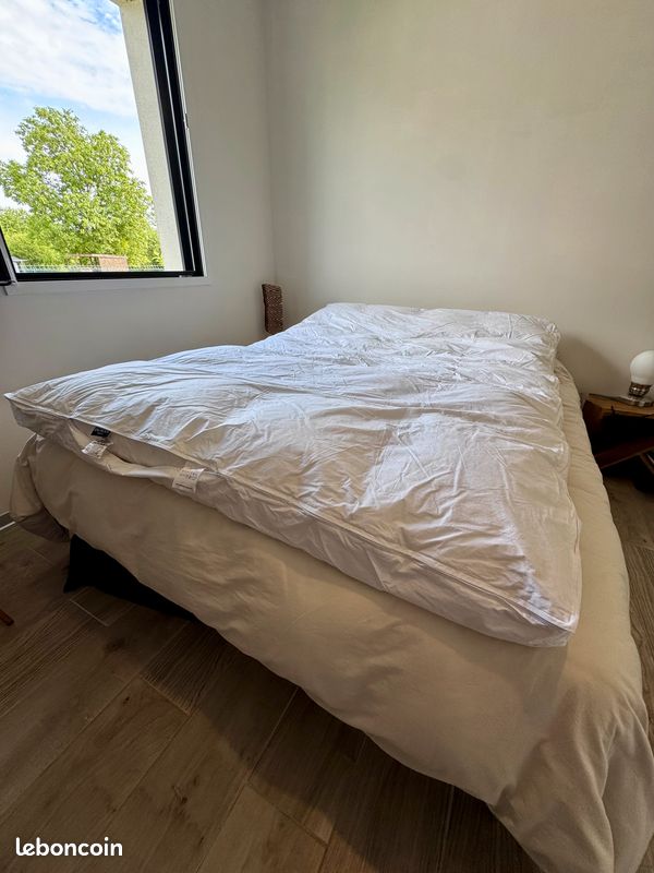 Surmatelas Sofitel 140 x 200 cm – Duvet et plumes de canard – État impeccable (image 1)