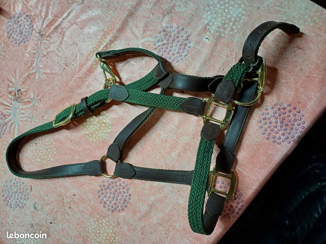 Licol Kentucky cheval (image 1)