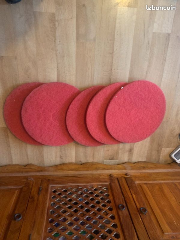 Disque pour mono brosse (image 2)