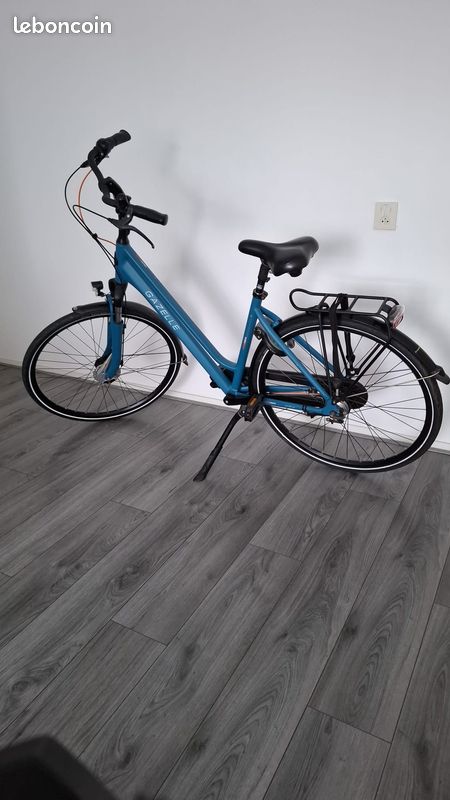 Jacques Anquetil Leboncoin VÃ©lo De Course Velo Marque Gazelle