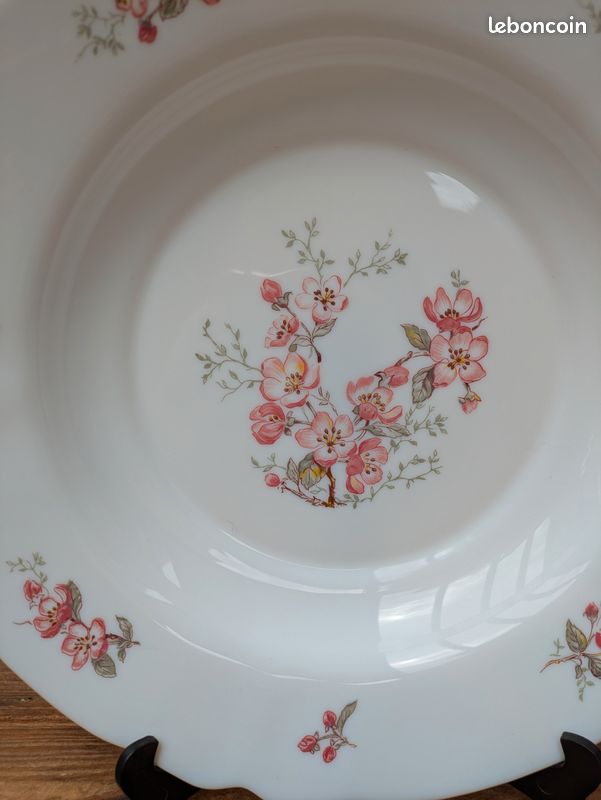 5 assiettes arcopal France vintage - Arts de la table
