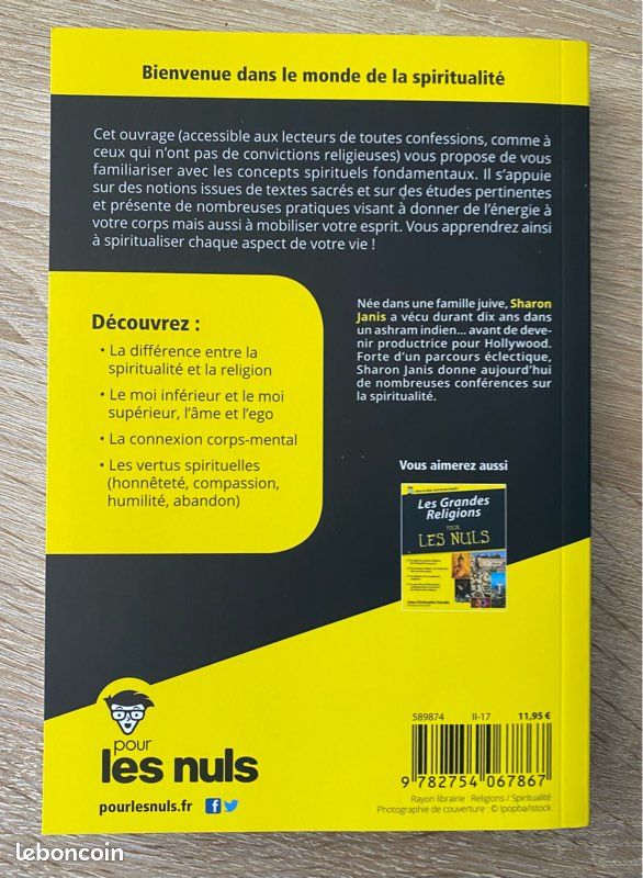 Sagesse et spiritualité pour les nuls (image 2)